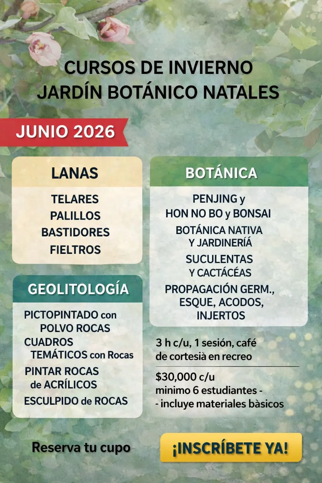 cursosJunio